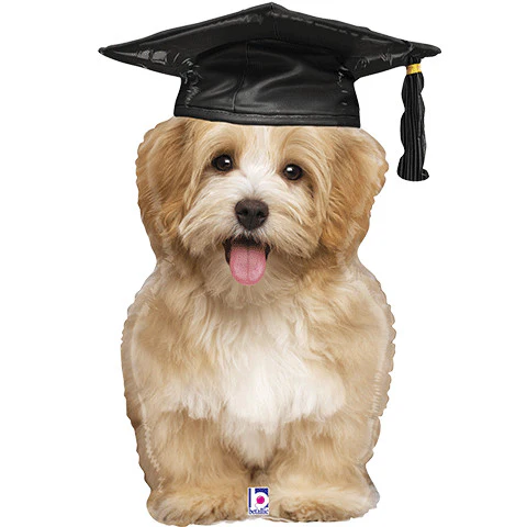 32" Grad Puppy