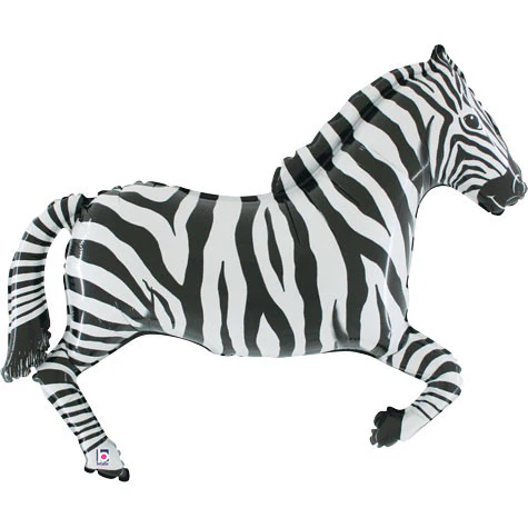 43" Zebra