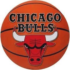 Chicago Bulls Cutout
