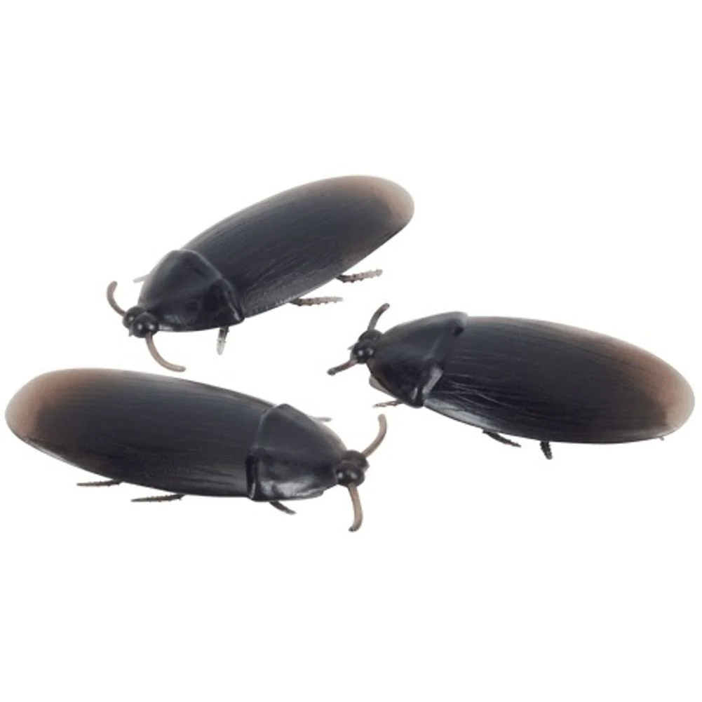2'' Cockroaches Prank Decoration Pack (144ct) - Image 2