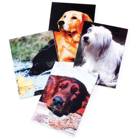 Dog Note Pads
