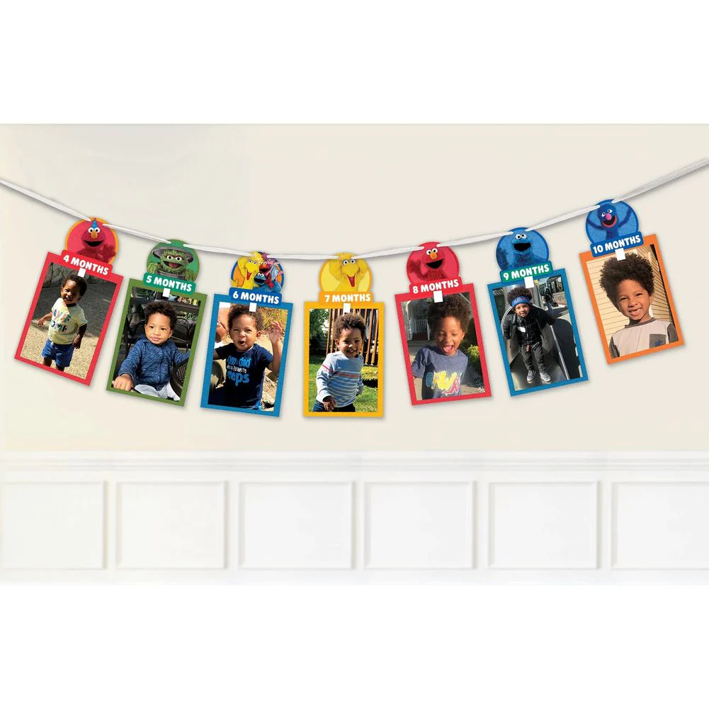 Everyday Sesame Street Photo Banner Kit