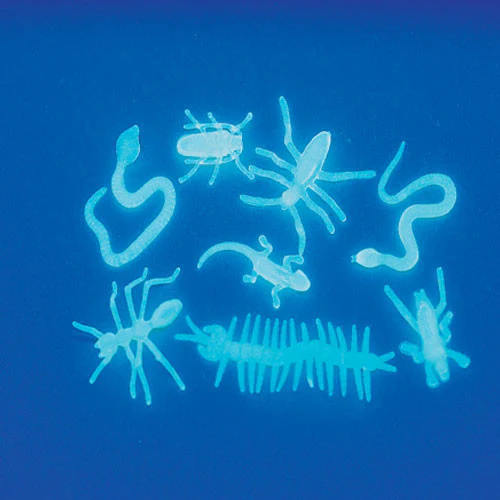 Glow Creatures