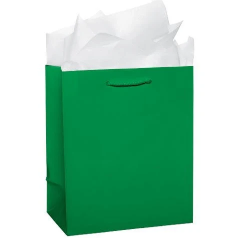 Green Glossy Medium Gift Bag
