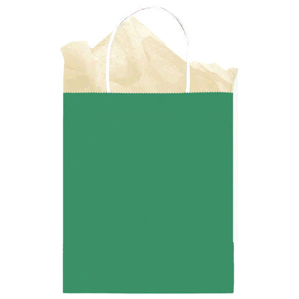 Green Kraft Medium Gift Bag - Image 2