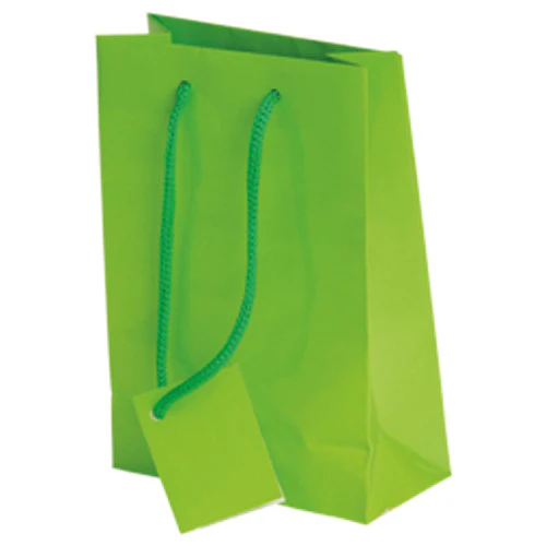 Light Green Small Gift Bags
