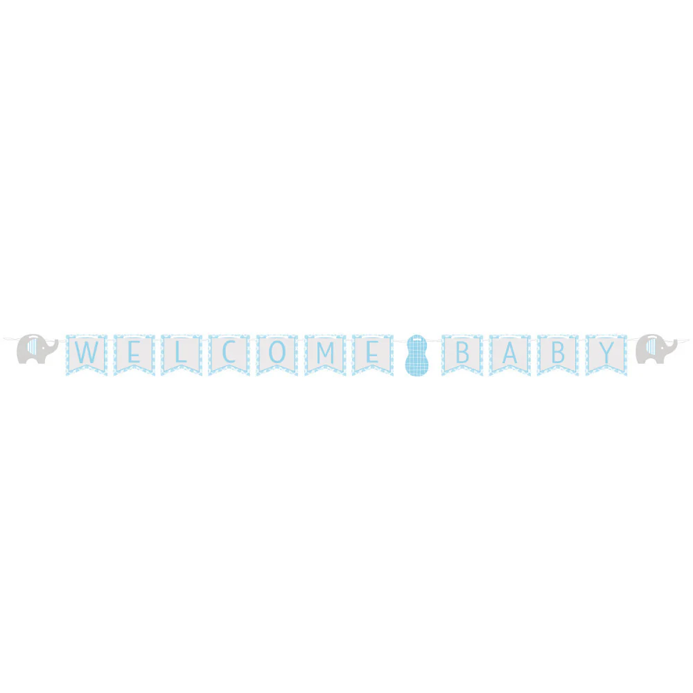 Little Peanut Boy Banner