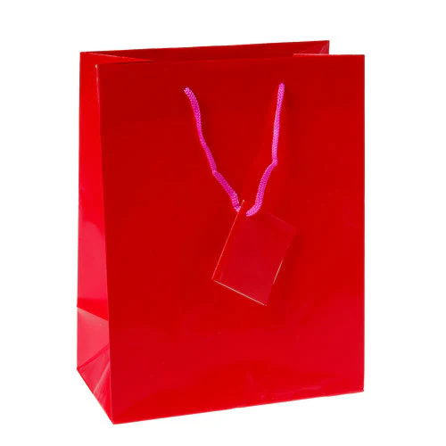 Magenta Medium Gift Bags