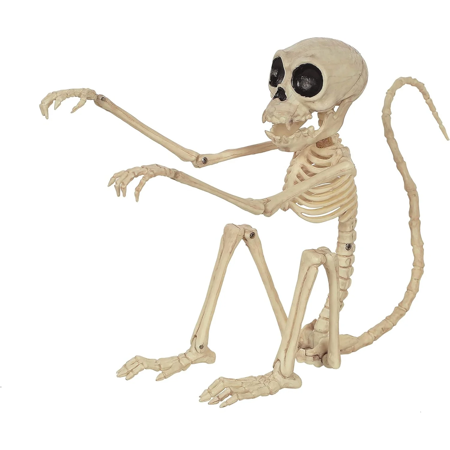 Monkey Skeleton 7.25"