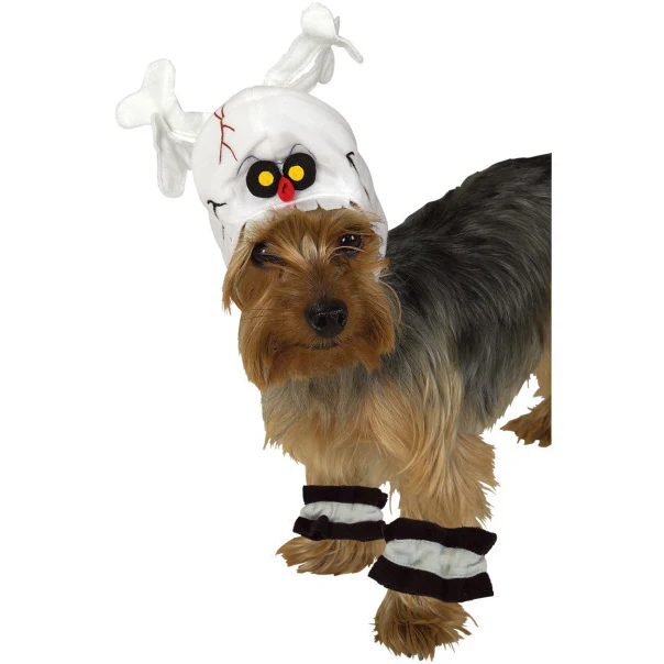 Skeleton Pet Costume - Image 3