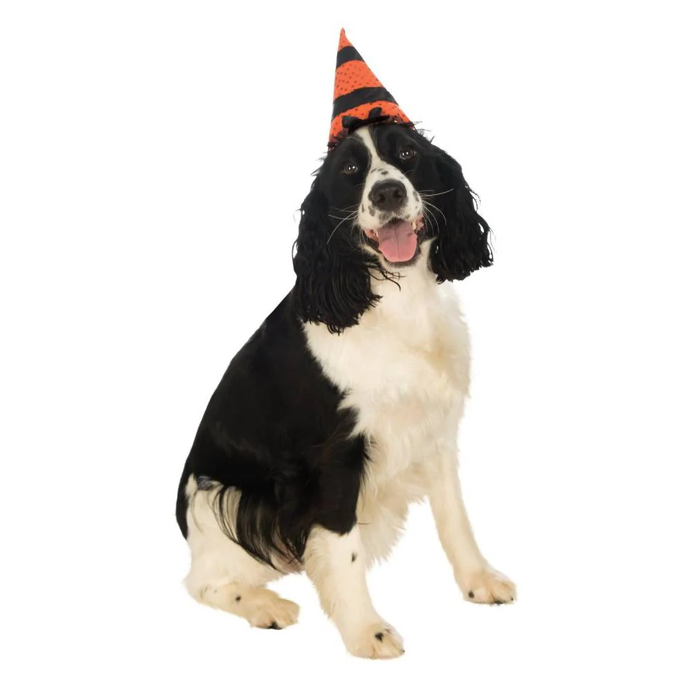 Pet Witch Hat - Image 2