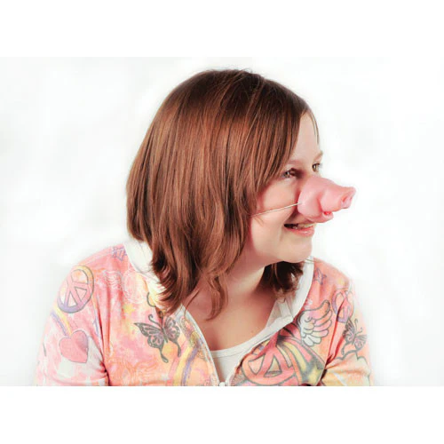 Pig Noses