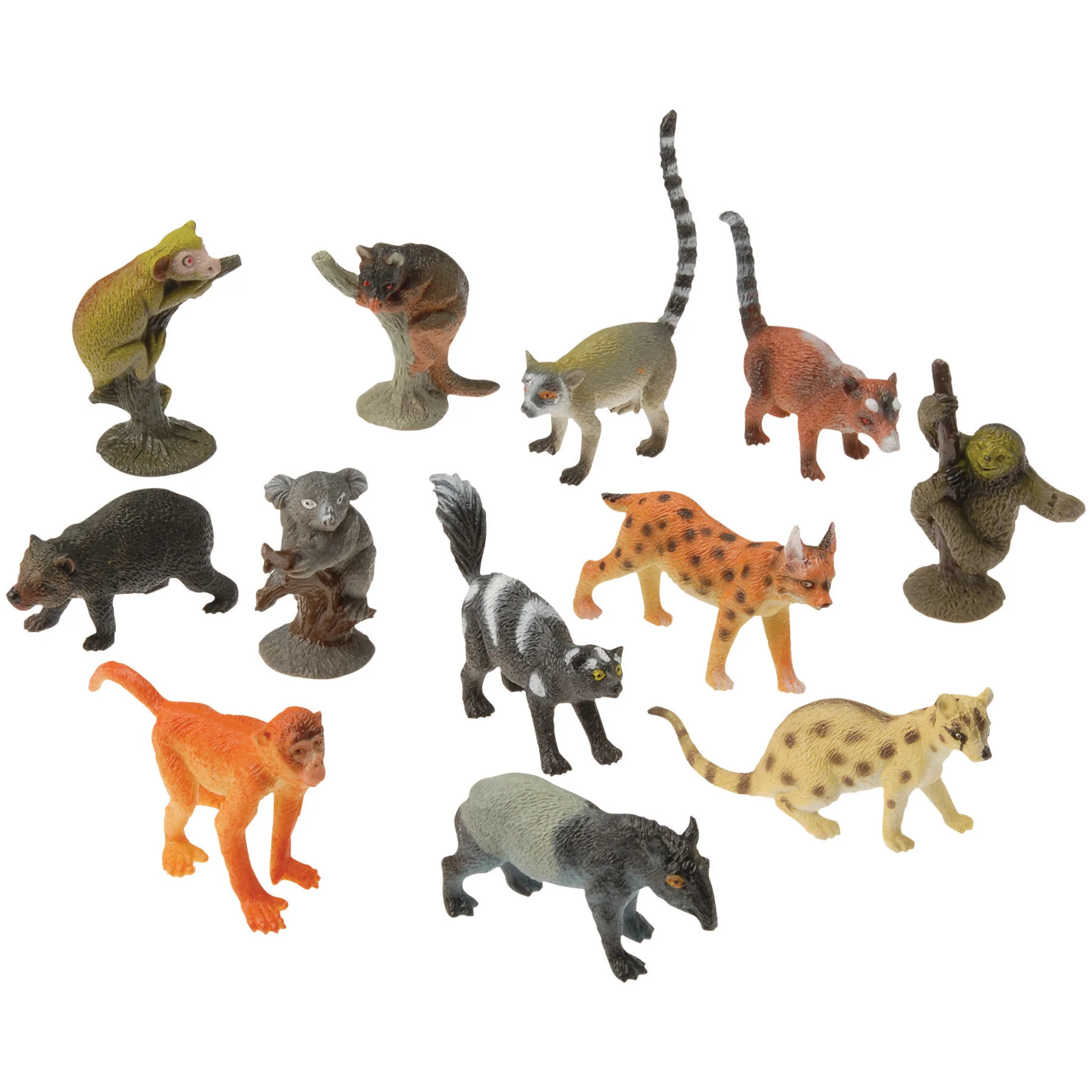 Rain Forest Animals