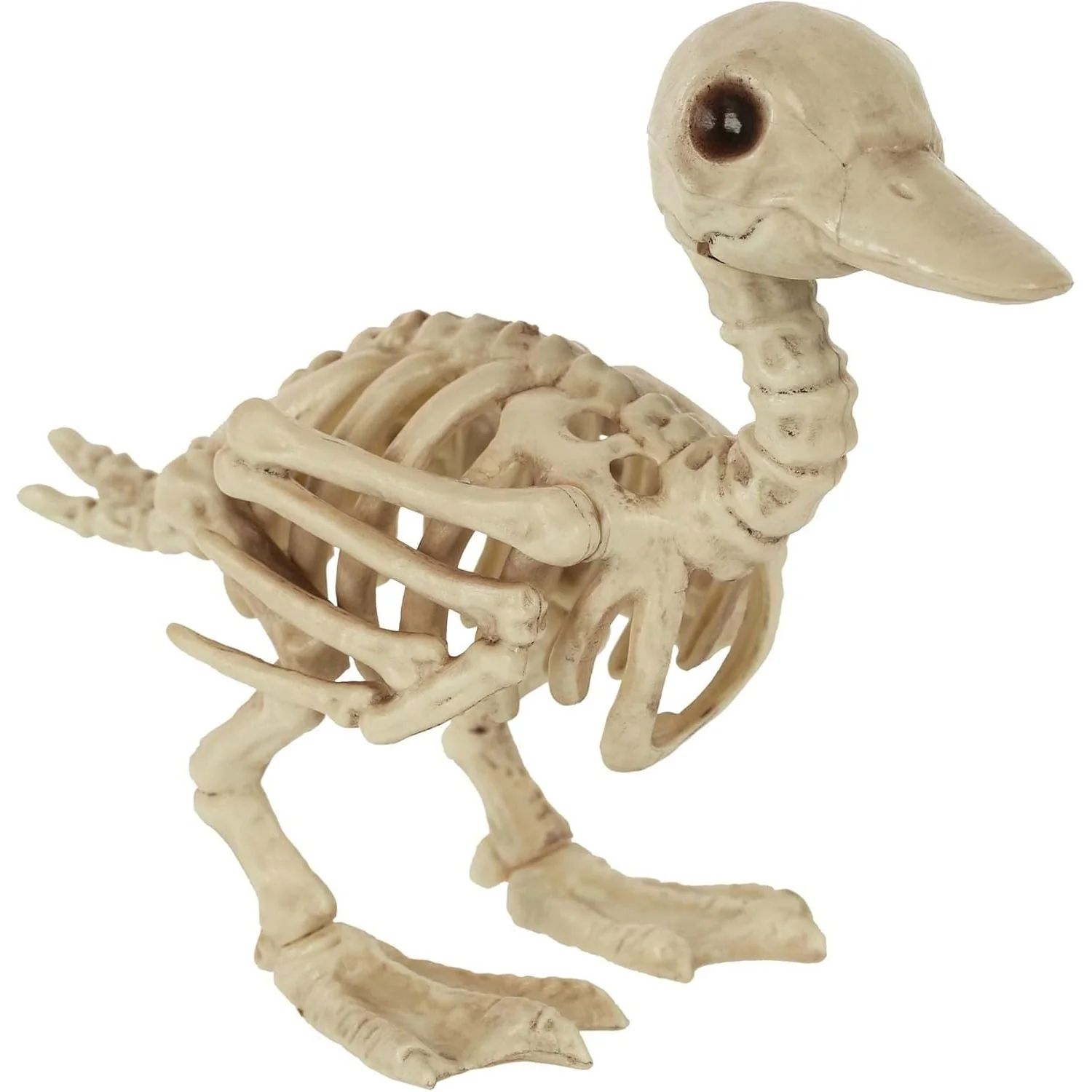 Skeleton Duck Small