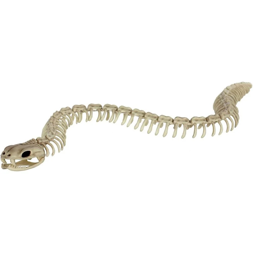 Skeleton Snake 36" - Image 2