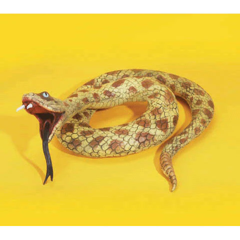 Snake