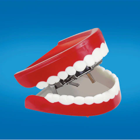 Talking Teeth