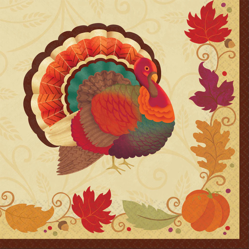 Thanksgiving Holiday Dinner Napkins (16ct)