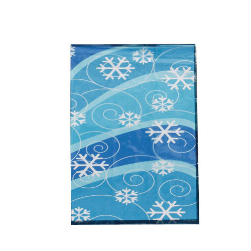 Winter Cello Bags