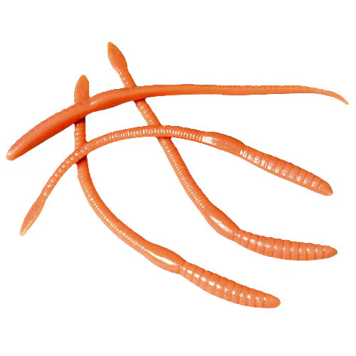 Worms